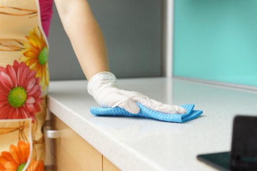 Carpet cleaning service terms and conditions introduction