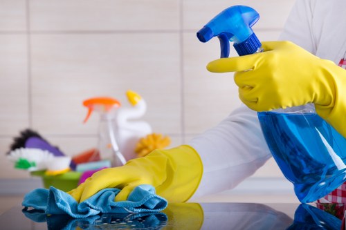 Accessibility statement introduction for Chase Cross Carpet Cleaners