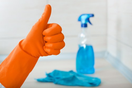 Deep cleaning carpet for pet stain odour removal in Chase Cross