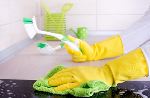 Detailed carpet cleaning process showing care and precision in a living space