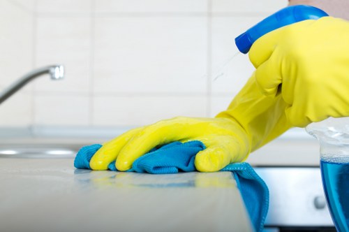 Trained cleaner using professional carpet cleaning tools