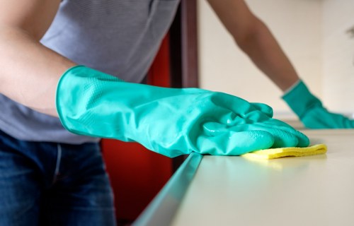 Professional carpet maintenance in a residential or commercial property