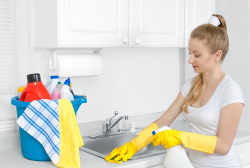 Professional carpet deep cleaning process in Chase Cross